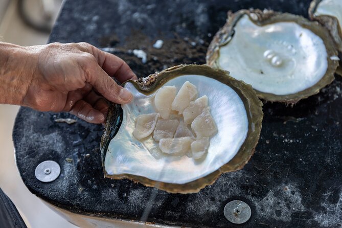 Guided Paspaley Pearl Farm Tour with Return Transfers - The Live Pearl Reveal: What You’ll Pay Attention To