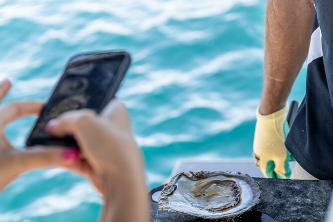 Guided Paspaley Pearl Farm Tour with Return Transfers - Price and Value: Is $143.91 a Fair Deal?