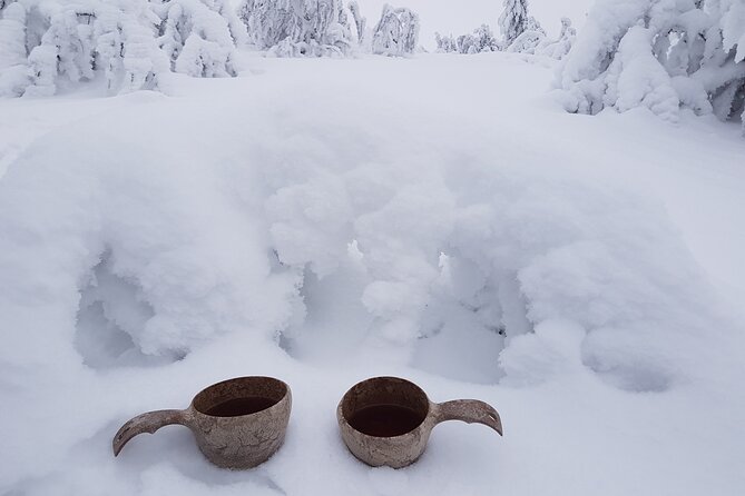 Guided reindeer farm visit and one hour sledge safari - Price and value: what $156.03 buys you in Finland