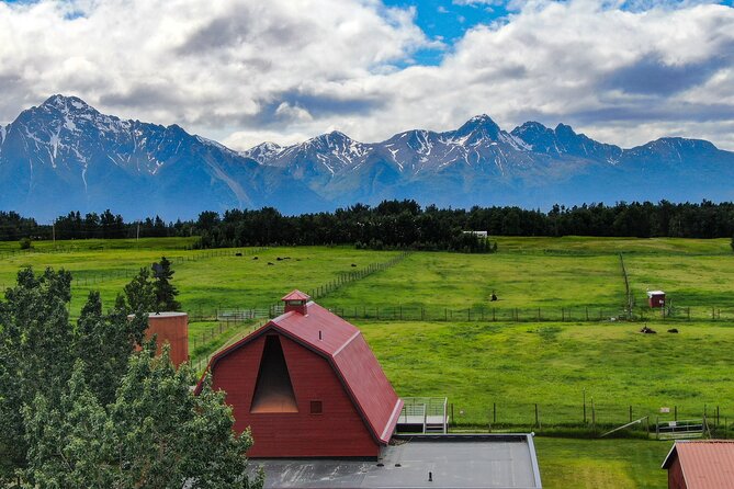 Guided Tour of Musk Ox Farm & Scenic Drive from Anchorage - A 3-Hour Anchorage Getaway with Big Prehistoric Energy