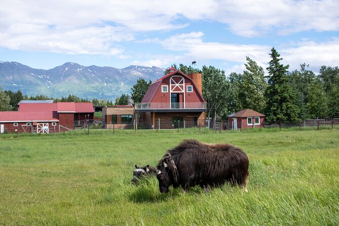 Guided Tour of Musk Ox Farm & Scenic Drive from Anchorage - Why the Guide Matters More Than You Think