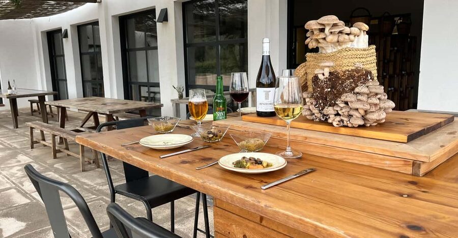 GUIDED TOUR + TASTE IN A MUSHROOM FARM - Two hours in an indoor mushroom farm world