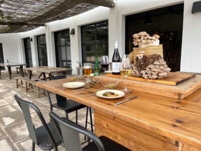GUIDED TOUR + TASTE IN A MUSHROOM FARM - The three-part tour: from mycology basics to the indoor forest
