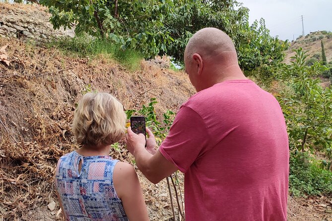 Guided Tour to the only coffee farm in Europe - Who should book this tour (and who should think twice)