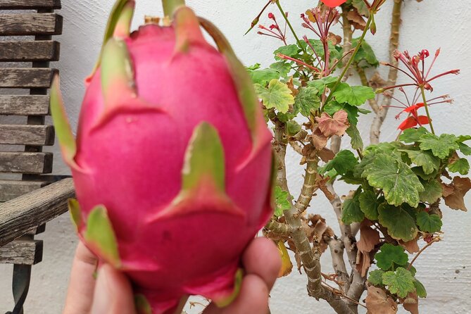 Guided Tour to the only coffee farm in Europe - Should you book the only coffee farm in Europe?
