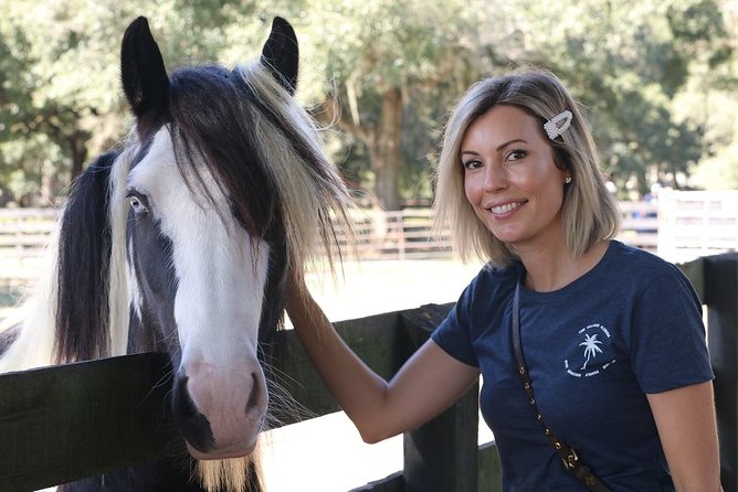 Gypsy Gold Horse Farm Tour - Gypsy Gold gift shop: a small stop with good closure