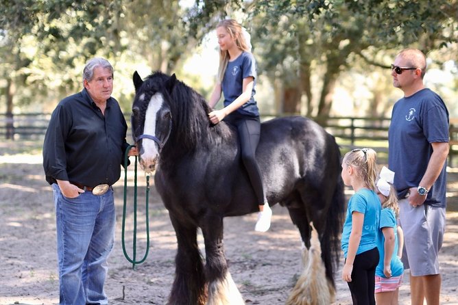Gypsy Gold Horse Farm Tour - Price and value: what $55 buys you in real time