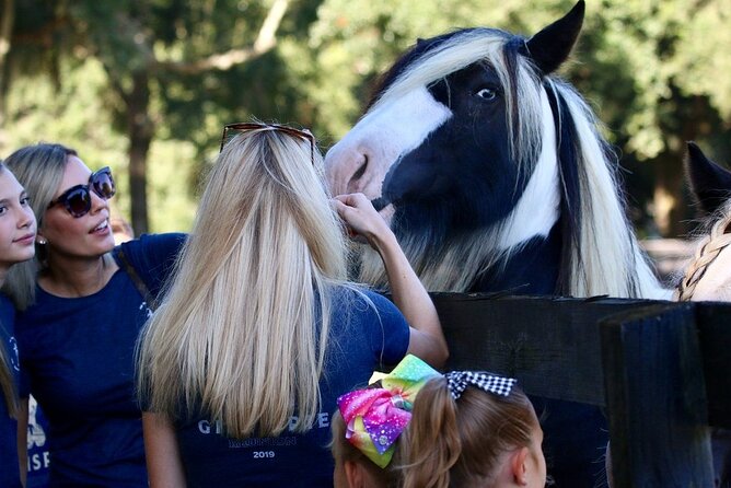Gypsy Gold Horse Farm Tour - Who this tour is for (and who might want something else)