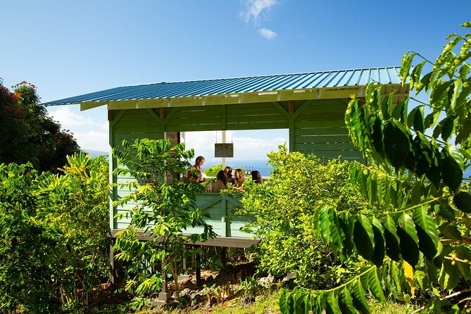 Hala Tree Coffee Farm Tour - A 1-Hour Kona Coffee Lesson That Feels Down-to-Earth