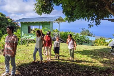 Hala Tree Coffee Farm Tour - Stop 1: The Hala Tree Farm Walk Through Kona Coffee Red Cherries