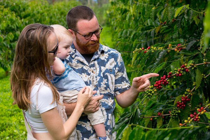 Hala Tree Coffee Farm Tour - Who This Tour Fits Best (and Who Might Want Another Option)