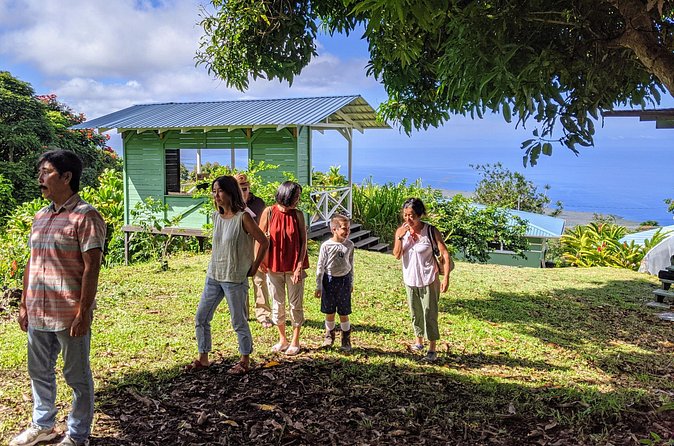 Hala Tree Coffee Farm Tour - What to Do Before and After the Tour