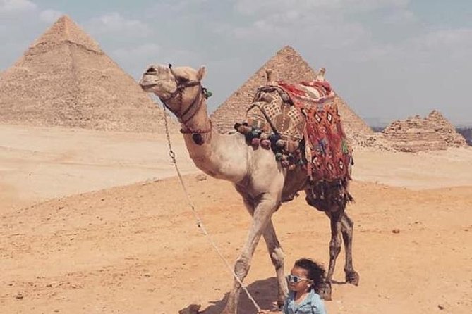 Half-Day Egypt Countryside Farm Tour. - The Guides You May Meet (And What Previous Guests Noticed)