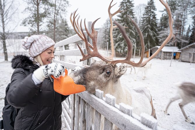 Half-Day Experience in Local reindeer farm in Lapland - Warmth, snacks, and the hut stop that keeps the trip enjoyable