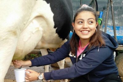 Half-Day Farm Visit and Cow Milking Experience - Getting there: Islanders meeting point and an 8:30 start