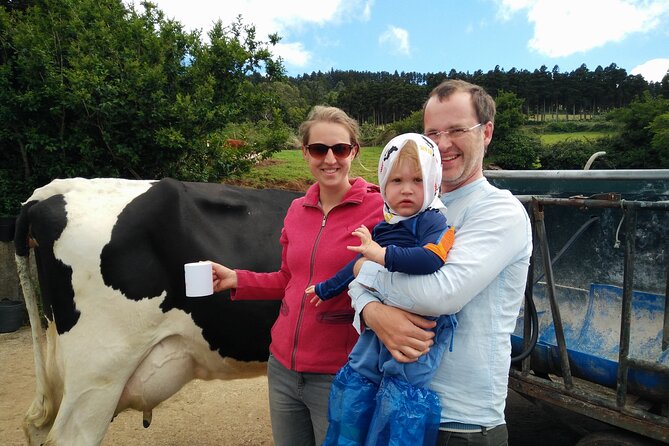 Half-Day Farm Visit and Cow Milking Experience - The drive between stops: 5 scenic pauses plus farm-road realism