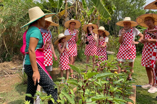 Half-Day Thai Cooking Class at Organic Farm in Chiang Mai - Key things that make this class special