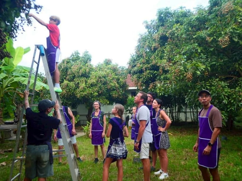Half-Day Thai Cooking Class on a Local Farm Near Chiang Mai - Key things you’ll notice right away