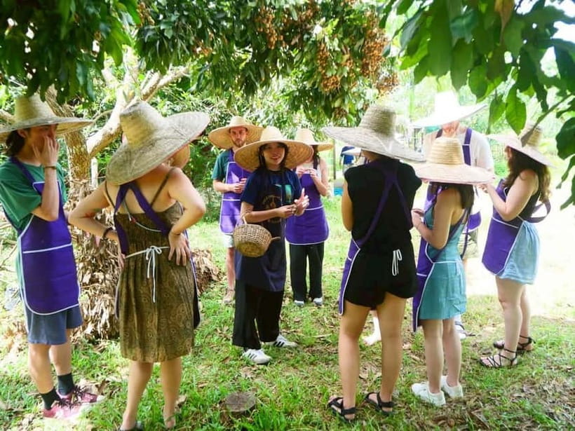 Half-Day Thai Cooking Class on a Local Farm Near Chiang Mai - Farm-to-market Thai cooking near Chiang Mai: what the day really feels like