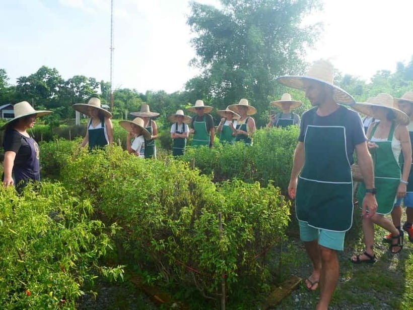 Half-Day Thai Cooking Class on a Local Farm Near Chiang Mai - Step 4: fruit picking season off the trees