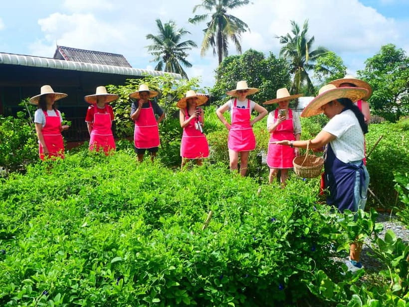 Half-Day Thai Cooking Class on a Local Farm Near Chiang Mai - Transportation and comfort: small details that help