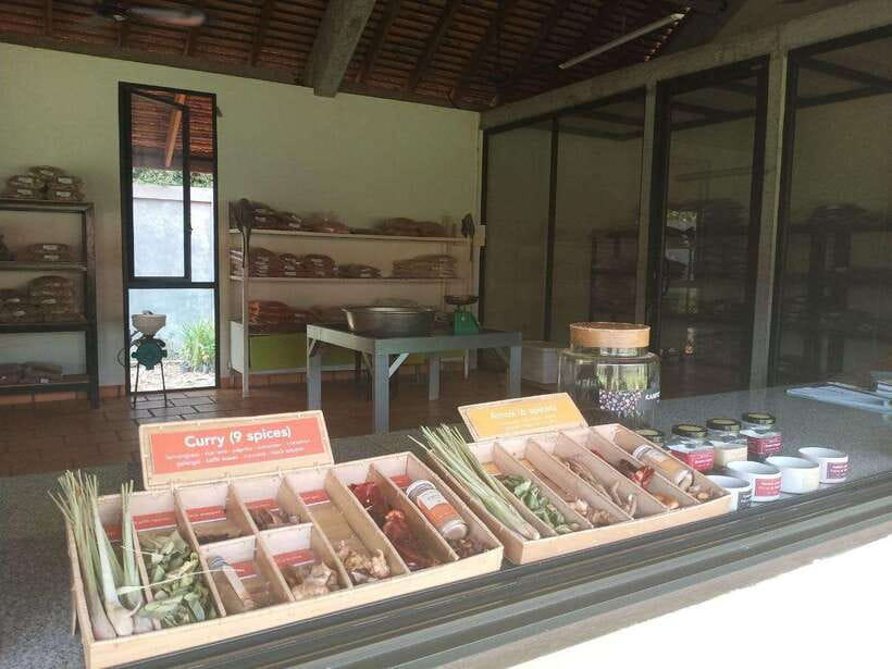 Half Day Trip: Silk Farm, Satcha, and Senteur d'Angkor Tour - Price and Value: Why $25 for a Small Private Group Can Make Sense
