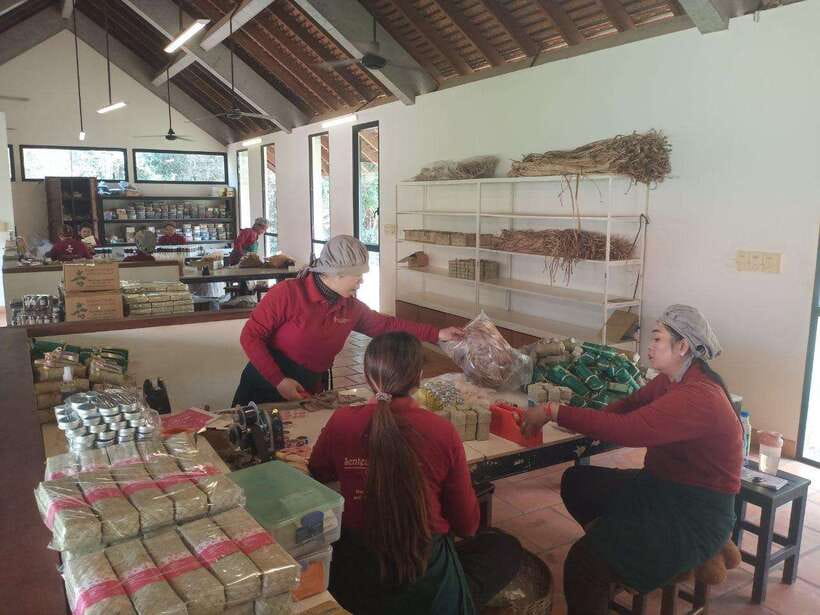 Half Day Trip: Silk Farm, Satcha, and Senteur d'Angkor Tour - Who This Tour Suits Best (And Who Might Prefer Something Else)