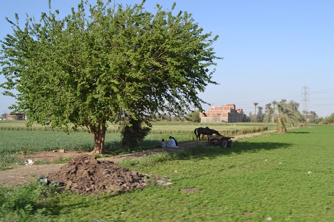 Half-Day Trip to Egyptian Green Farm from Cairo with Breakfast - Who This Tour Is Best For (and Who Might Skip It)