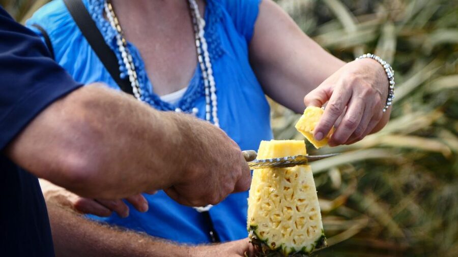 Hali'imaile: Pineapple Farm Tour - Why Hali’imaile Is the Right Place for a Maui Pineapple Tour