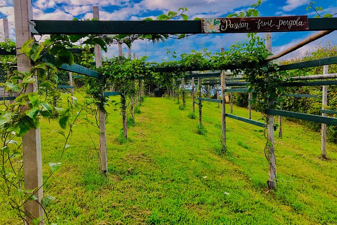 Hamakua Coast Farm Small-Group Walking and Tasting Tour - Key highlights you’ll notice right away