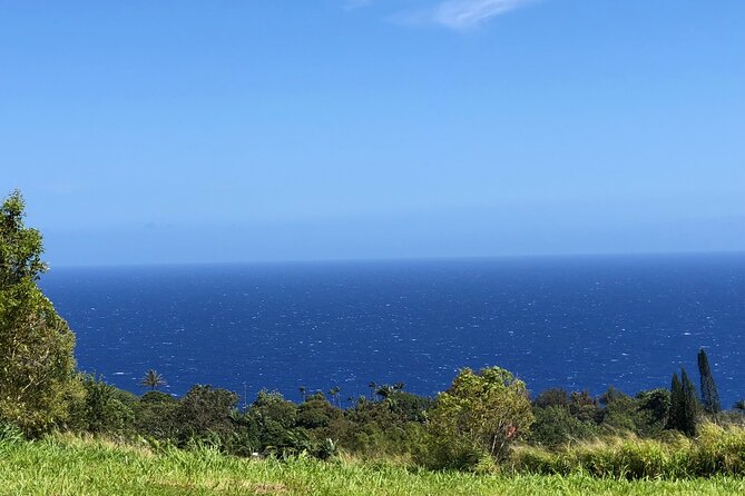 Hamakua Coast Farm Small-Group Walking and Tasting Tour - Where you start in Hilo (and how to plan your morning)