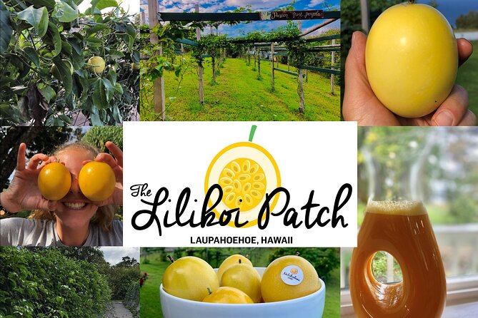 Hamakua Coast Farm Small-Group Walking and Tasting Tour - The taste lesson: lilikoi specialties, mamaki tea, and sugar cane juice