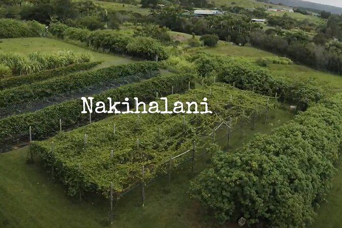 Hamakua Coast Farm Small-Group Walking and Tasting Tour - After the tour: wander longer and buy breakfast, lunch, and take-home farm items