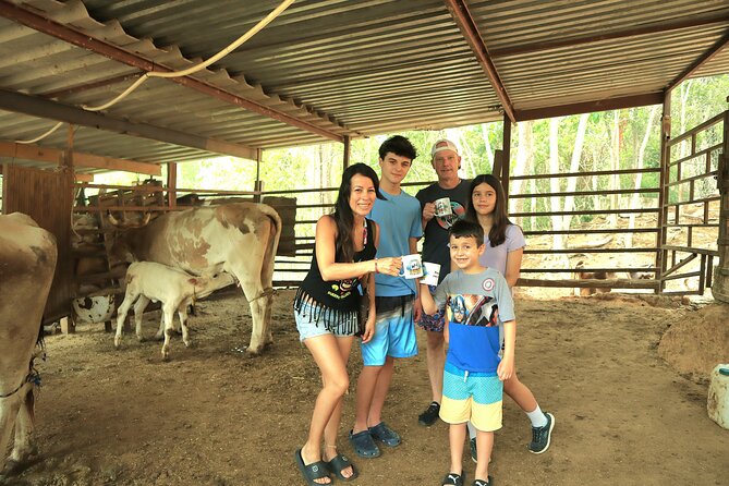 Hands-on Mexican Farm Experience: from Cow to Cheese - Key Highlights You’ll Notice Right Away