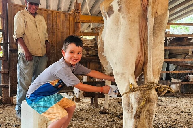 Hands-on Mexican Farm Experience: from Cow to Cheese - The Open-Air Ride Up: Sierra Madre Views Without the Hassle