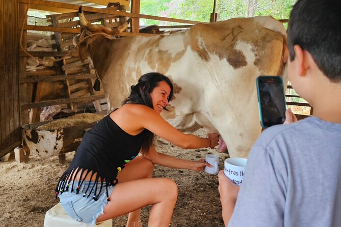 Hands-on Mexican Farm Experience: from Cow to Cheese - What’s Included in the Price, and Why It Feels Fair