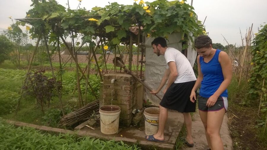 Hanoi Farm Tour and Cooking Class with Local Family - Cooking Class in a Family Home: How the Lesson Feels