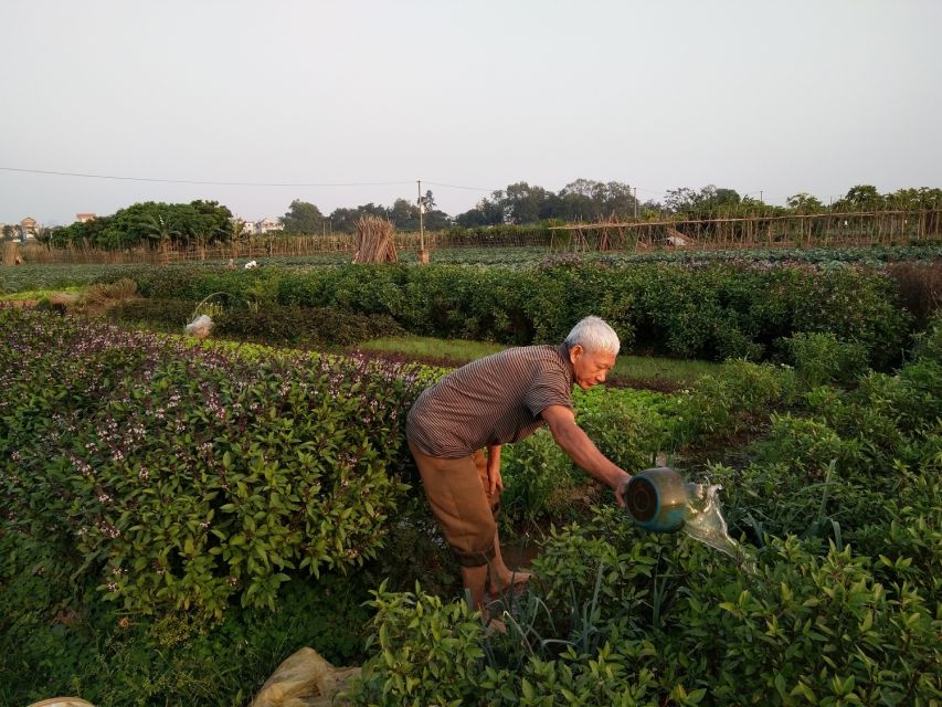 Hanoi Farm Tour and Cooking Class with Local Family - Price and Value: Why $43 Often Feels Like More