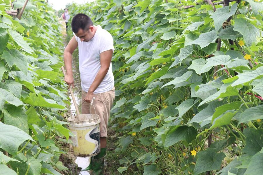 Hanoi: Village Farm Tour and Cooking Class with Lunch - From Hanoi to the Countryside: The Most Valuable Part Is the Pace