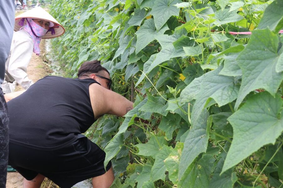 Hanoi: Village Farm Tour and Cooking Class with Lunch - Hands-On Farming: Raking, Sowing, Watering, and Collecting Vegetables