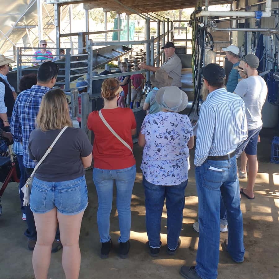 Harrisville: Summer Land Camel Farm Tour with Tasting - Souvenir shop and Camelcino: how to avoid ending up with a bag of maybes