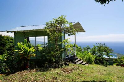 Hawaii: Hala Tree Coffee Farm Tour and Tasting - Finding the Meeting Point Near Kona Without Stress