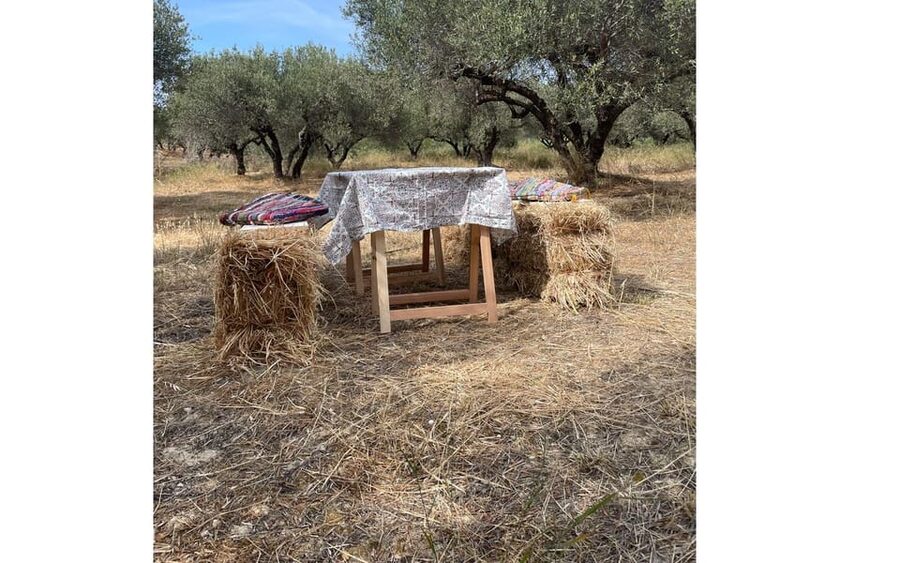 Heraklion :Olive & Dragon Farm Tour & Cretan Farmers Brunch - Key moments I’d plan around