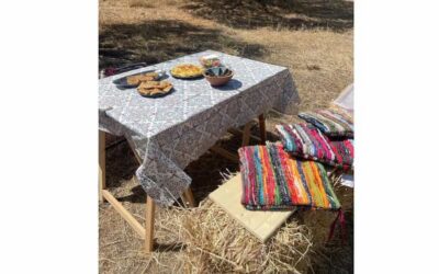 Heraklion :Olive & Dragon Farm Tour & Cretan Farmers Brunch - Olive Tree Cultivation and the Winter Harvest Simulation