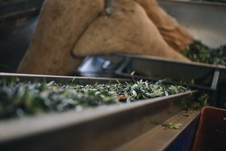 Heraklion: Olive Farm Tour with Tasting of Local Delicacies - Key things that make this tour work