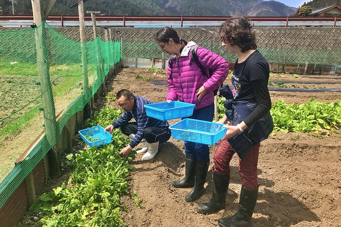 Hida Private E-Bike Tour with Premium Lunch and Farm Experience - A private Hida day that feels slower—in a good way