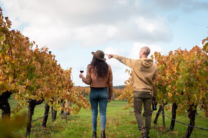Hidden Gems: Boutique Full-Day Wine, Farm & Lunch Tour - The farm breakfast: alpacas, emus, and scones with jam & cream