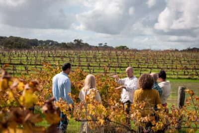 Hidden Gems Margaret River: Authentic Wine & Farm Experience - Pickup, Timing, and the Flow of the Day
