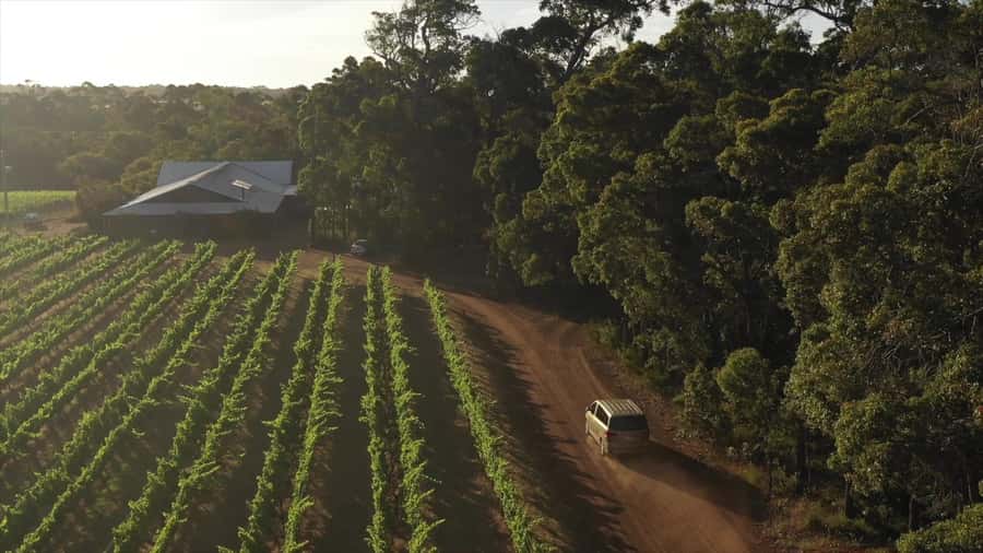 Hidden Gems Margaret River: Authentic Wine & Farm Experience - Lunch at an Olive Farm: Oil, Products, and a Real Break