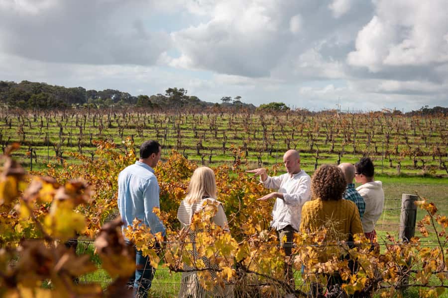 Hidden Gems Margaret River: Authentic Wine & Farm Experience - Pickup, Timing, and the Flow of the Day